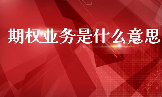 期权业务是什么意思_https://wap.lcjysmgs.com_债券基金_第1张