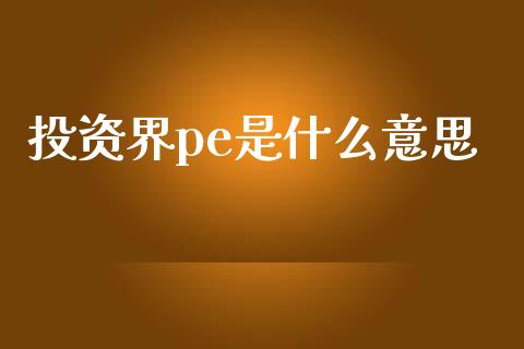 投资界pe是什么意思_https://wap.lcjysmgs.com_元宇宙_第1张