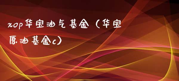 xop华宝油气基金（华宝原油基金c）_https://wap.lcjysmgs.com_债券基金_第1张