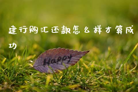 建行购汇还款怎么样才算成功_https://wap.lcjysmgs.com_债券基金_第1张