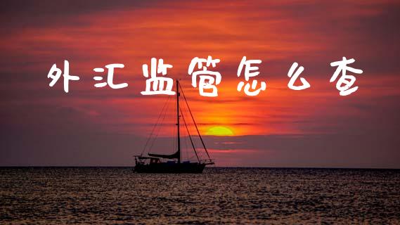外汇监管怎么查_https://wap.lcjysmgs.com_金融交易_第1张
