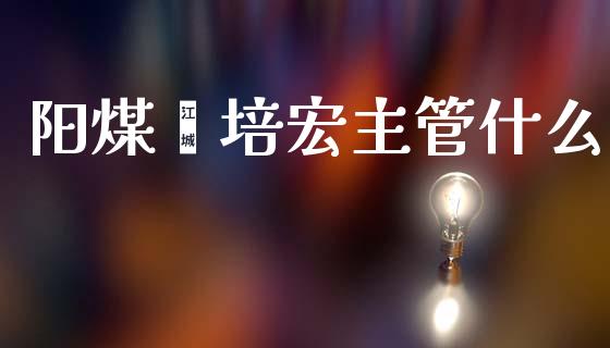 阳煤靳培宏主管什么_https://wap.lcjysmgs.com_元宇宙_第1张