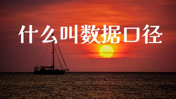 什么叫数据口径_https://wap.lcjysmgs.com_原油期货_第1张