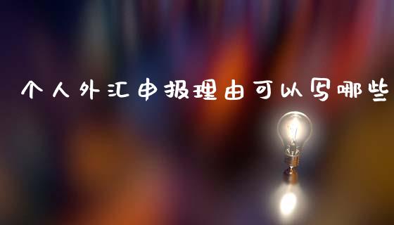 个人外汇申报理由可以写哪些_https://wap.lcjysmgs.com_金融交易_第1张
