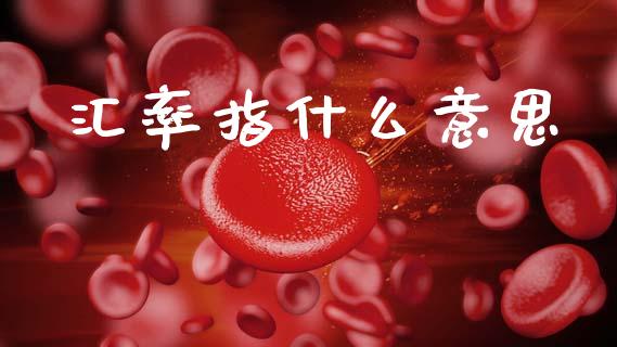 汇率指什么意思_https://wap.lcjysmgs.com_债券基金_第1张