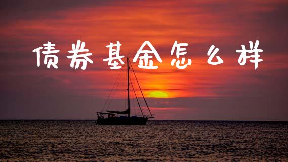 债券基金怎么样_https://wap.lcjysmgs.com_债券基金_第1张