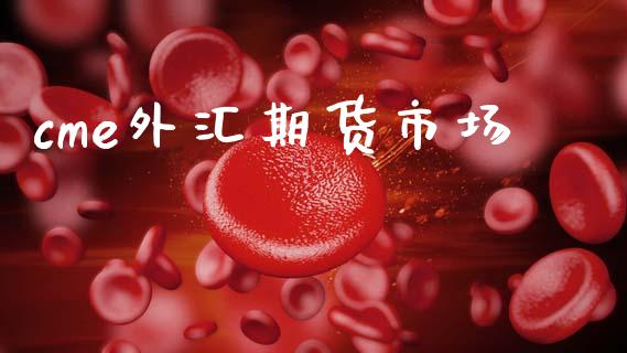 cme外汇期货市场_https://wap.lcjysmgs.com_元宇宙_第1张