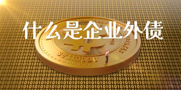 什么是企业外债_https://wap.lcjysmgs.com_元宇宙_第1张