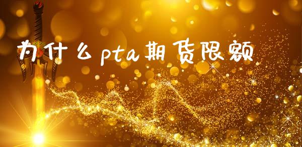 为什么pta期货限额_https://wap.lcjysmgs.com_元宇宙_第1张