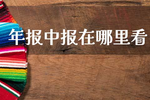 年报中报在哪里看_https://wap.lcjysmgs.com_金融交易_第1张