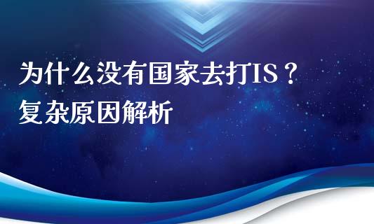 为什么没有国家去打IS？复杂原因解析_https://wap.lcjysmgs.com_原油期货_第1张