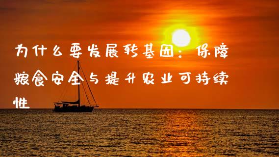 为什么要发展转基因：保障粮食安全与提升农业可持续性_https://wap.lcjysmgs.com_金融交易_第1张