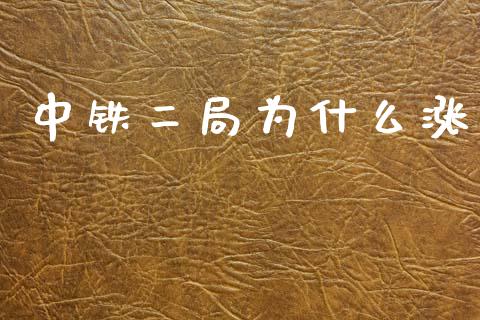 中铁二局为什么涨_https://wap.lcjysmgs.com_元宇宙_第1张