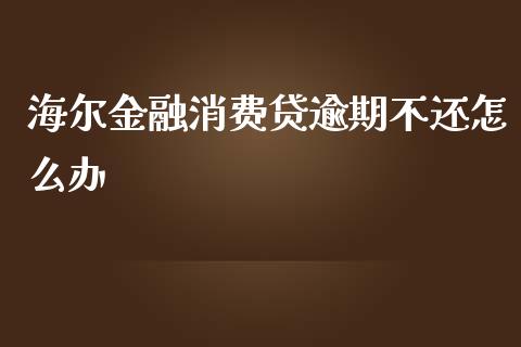 海尔金融消费贷逾期不还怎么办_https://wap.lcjysmgs.com_金融交易_第1张