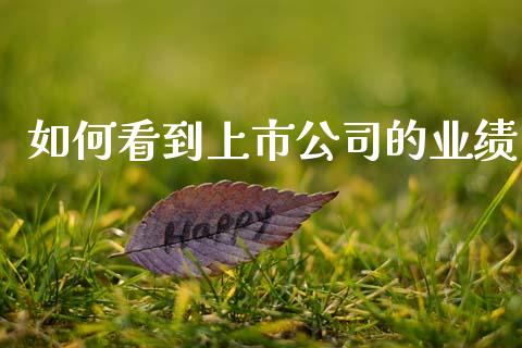 如何看到上市公司的业绩_https://wap.lcjysmgs.com_金融交易_第1张