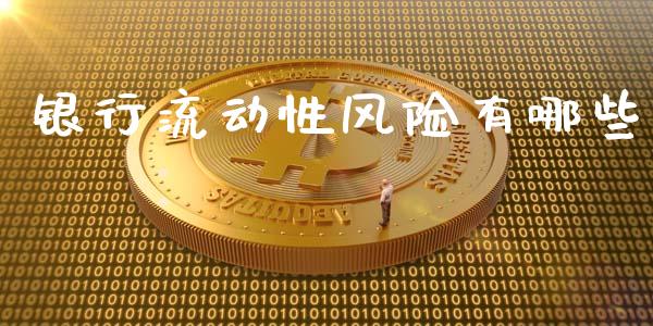 银行流动性风险有哪些_https://wap.lcjysmgs.com_原油期货_第1张