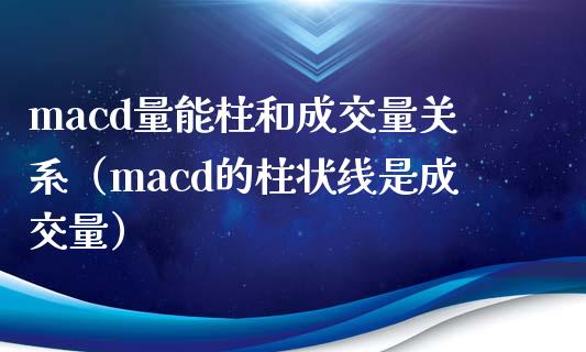 macd量能柱和成交量关系（macd的柱状线是成交量）_https://wap.lcjysmgs.com_原油期货_第1张