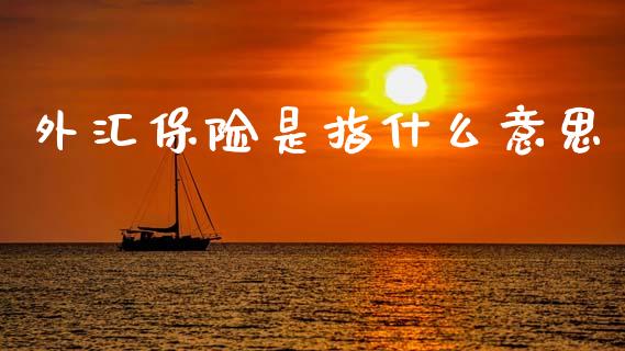 外汇保险是指什么意思_https://wap.lcjysmgs.com_金融交易_第1张