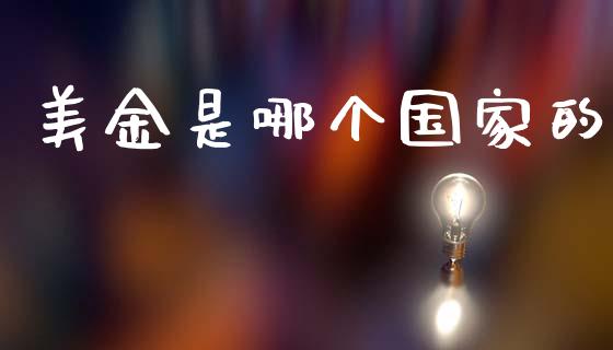 美金是哪个国家的_https://wap.lcjysmgs.com_债券基金_第1张