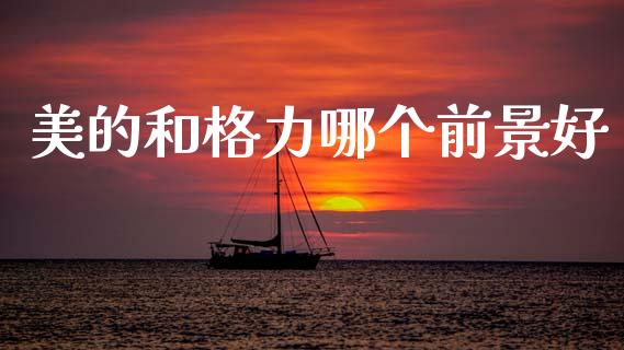 美的和格力哪个前景好_https://wap.lcjysmgs.com_元宇宙_第1张