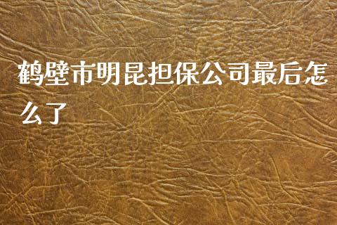 鹤壁市明昆担保公司最后怎么了_https://wap.lcjysmgs.com_原油期货_第1张