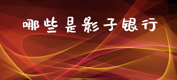 哪些是影子银行_https://wap.lcjysmgs.com_债券基金_第1张