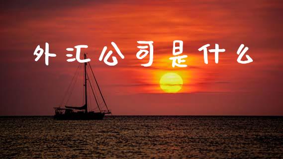 外汇公司是什么_https://wap.lcjysmgs.com_原油期货_第1张