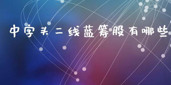 中字头二线蓝筹股有哪些_https://wap.lcjysmgs.com_金融交易_第1张