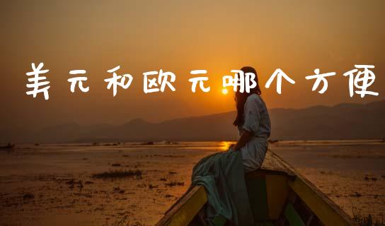 美元和欧元哪个方便_https://wap.lcjysmgs.com_金融交易_第1张