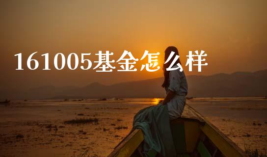 161005基金怎么样_https://wap.lcjysmgs.com_债券基金_第1张
