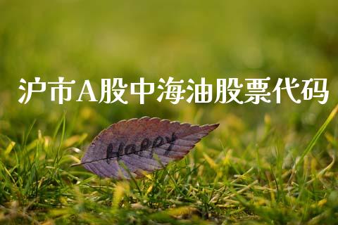 沪市A股中海油股票代码_https://wap.lcjysmgs.com_金融交易_第1张