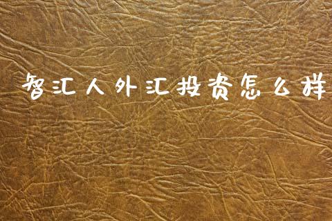 智汇人外汇投资怎么样_https://wap.lcjysmgs.com_债券基金_第1张