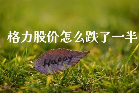 格力股价怎么跌了一半_https://wap.lcjysmgs.com_债券基金_第1张