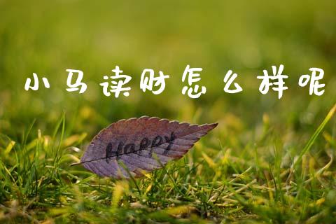 小马读财怎么样呢_https://wap.lcjysmgs.com_元宇宙_第1张