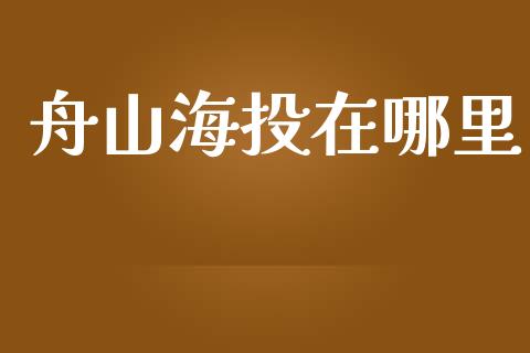 舟山海投在哪里_https://wap.lcjysmgs.com_债券基金_第1张