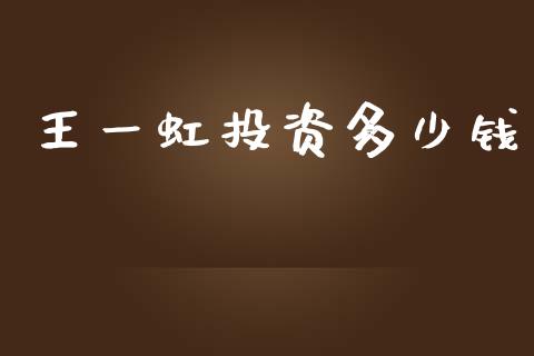 王一虹投资多少钱_https://wap.lcjysmgs.com_元宇宙_第1张