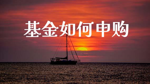 基金如何申购_https://wap.lcjysmgs.com_原油期货_第1张