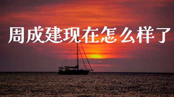 周成建现在怎么样了_https://wap.lcjysmgs.com_债券基金_第1张