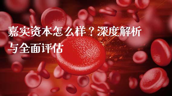 嘉实资本怎么样？深度解析与全面评估_https://wap.lcjysmgs.com_原油期货_第1张