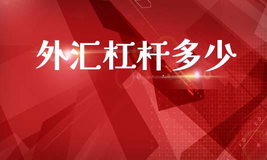 外汇杠杆多少_https://wap.lcjysmgs.com_债券基金_第1张