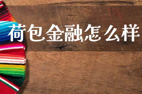 荷包金融怎么样_https://wap.lcjysmgs.com_金融交易_第1张