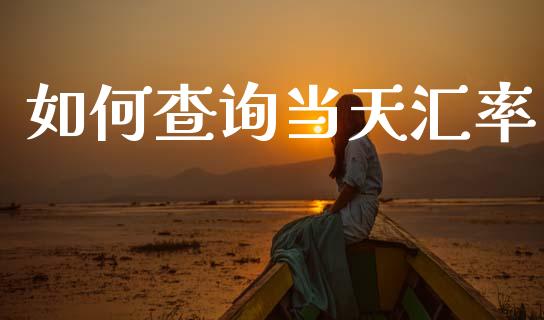 如何查询当天汇率_https://wap.lcjysmgs.com_债券基金_第1张