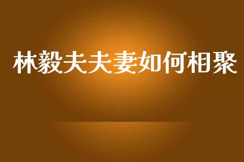 林毅夫夫妻如何相聚_https://wap.lcjysmgs.com_金融交易_第1张