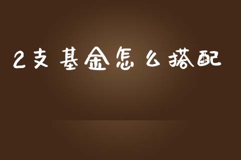 2支基金怎么搭配_https://wap.lcjysmgs.com_原油期货_第1张