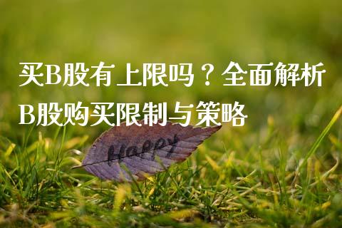 买B股有上限吗？全面解析B股购买限制与策略_https://wap.lcjysmgs.com_元宇宙_第1张