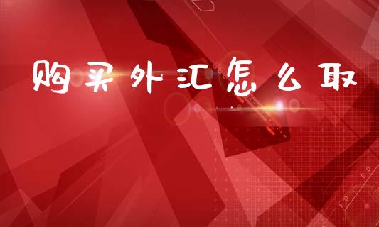 购买外汇怎么取_https://wap.lcjysmgs.com_债券基金_第1张