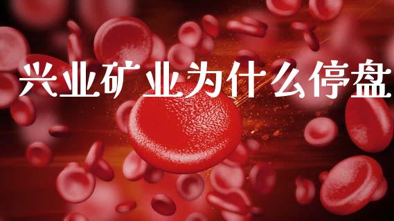 兴业矿业为什么停盘_https://wap.lcjysmgs.com_元宇宙_第1张