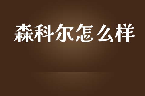 森科尔怎么样_https://wap.lcjysmgs.com_债券基金_第1张