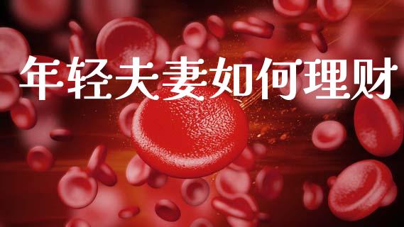 年轻夫妻如何理财_https://wap.lcjysmgs.com_债券基金_第1张