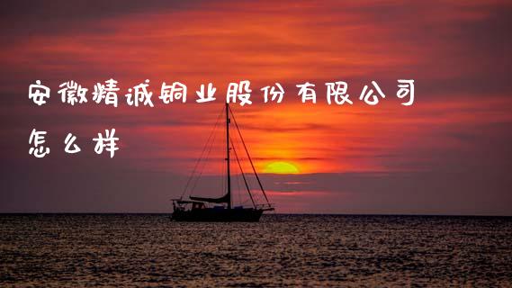 安徽精诚铜业股份有限公司怎么样_https://wap.lcjysmgs.com_金融交易_第1张